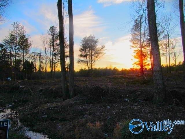 Land for sale in Albertville, Alabama