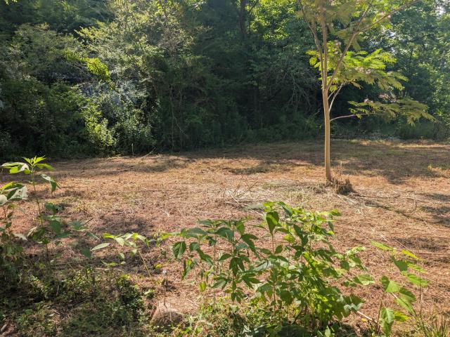 Land for sale in Middlesboro, Kentucky