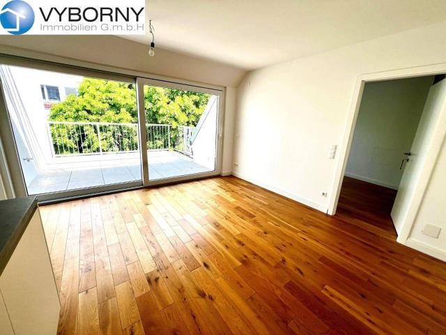 Apartment mieten in KG Breitensee, Wien