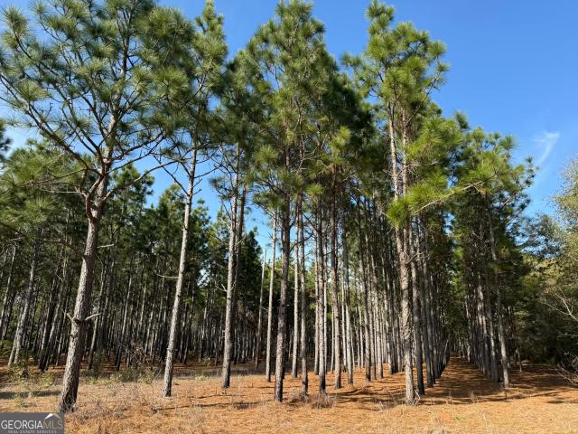 Land for sale in Plains, Georgia