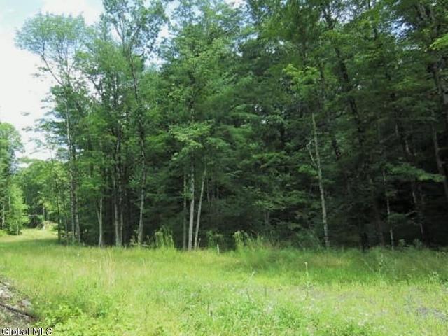 Land for sale in Stephentown, New York