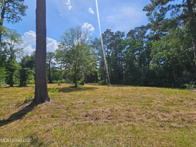 Land for sale in Carriere, Mississippi