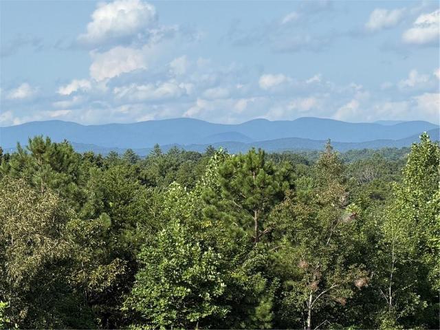 Land for sale in Dahlonega, Georgia
