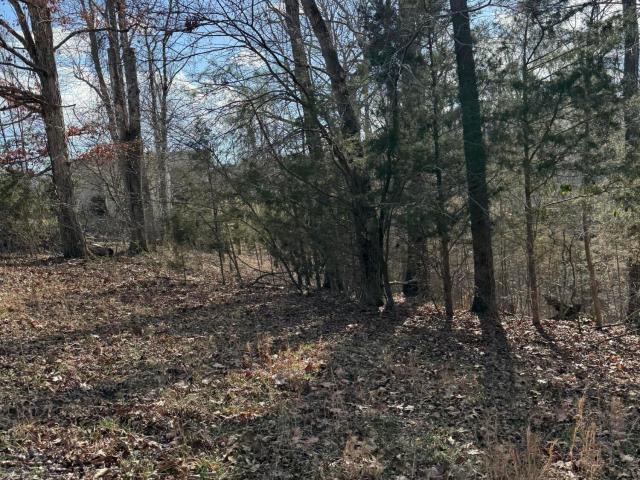 Land for sale in Jamestown, Kentucky
