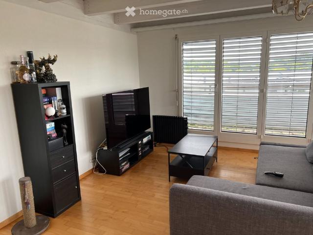 Studio mieten in Illnau-Effretikon, Zürich