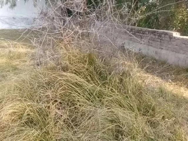 Land for sale in Mardan, North West Frontier Province