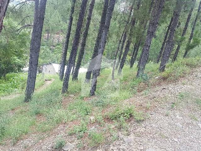 Property for sale in Abbottabad, North West Frontier Province