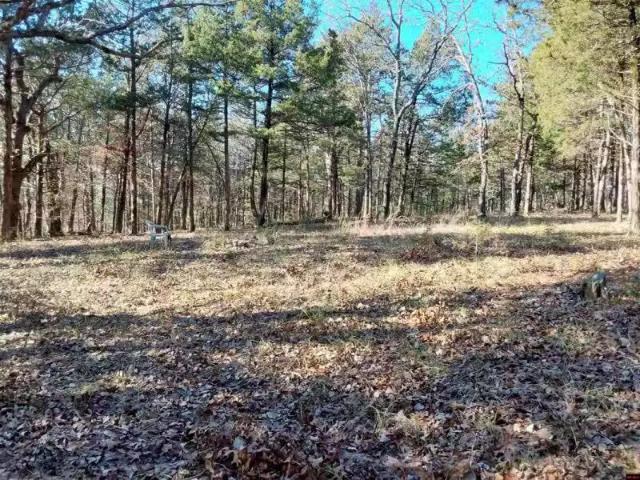 House for rent in Ark