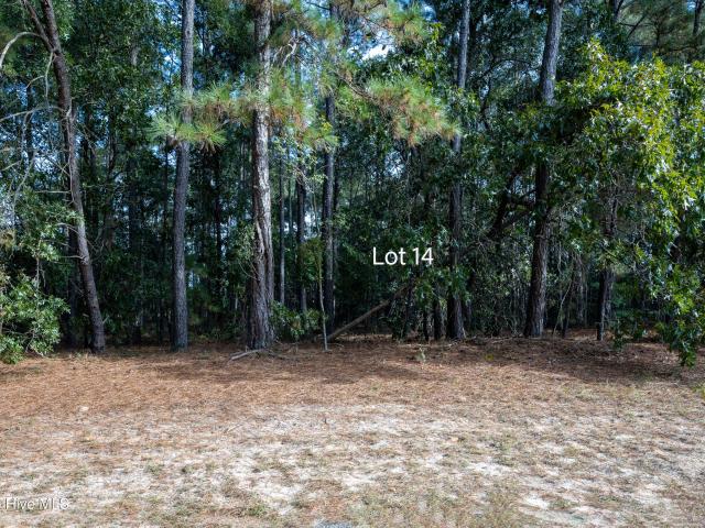 Land for sale in Garland, North Carolina