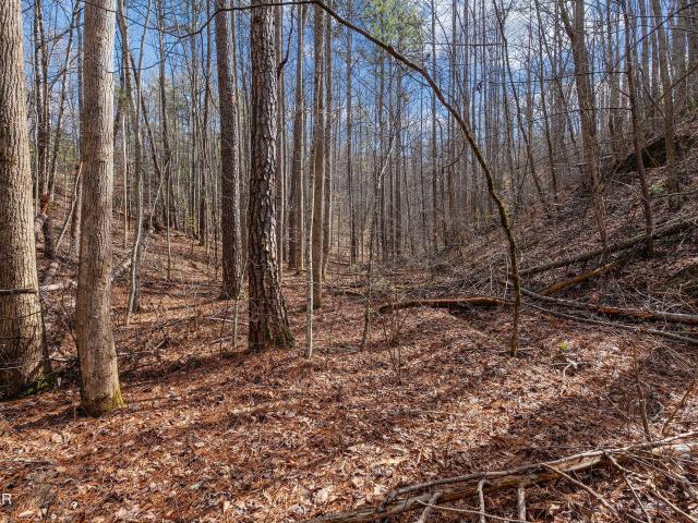 Land for sale in Tennessee