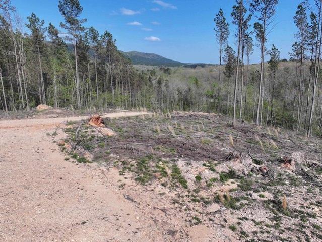 Land for sale in Ark