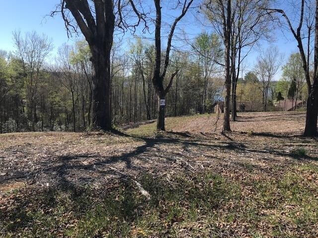 Land for sale in Tennessee