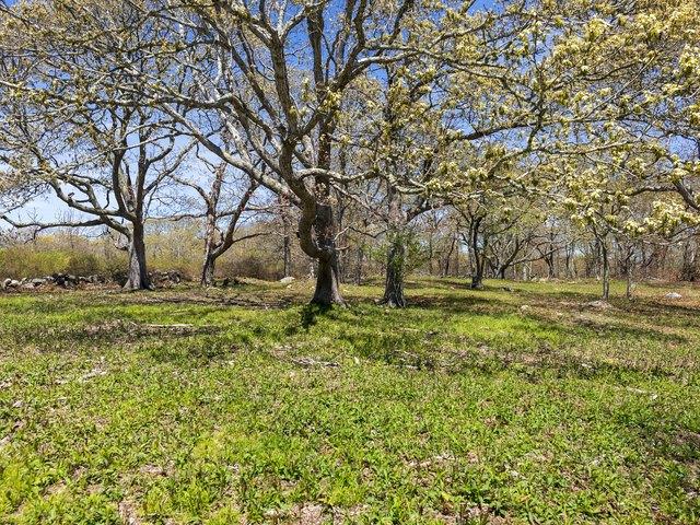Land for sale in Massachusetts