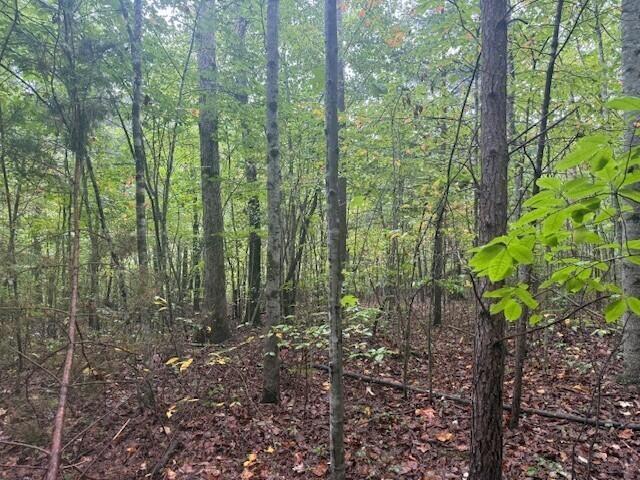 Land for sale in Tennessee