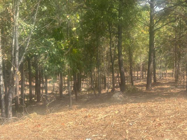 Land for sale in Cohutta, Georgia