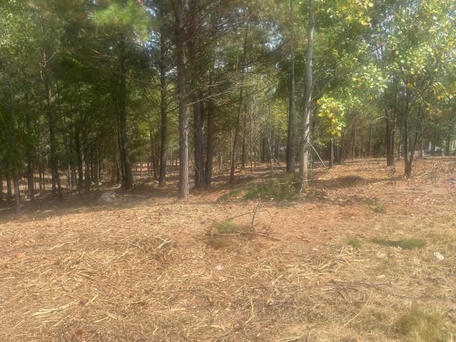 Land for sale in Cohutta, Georgia