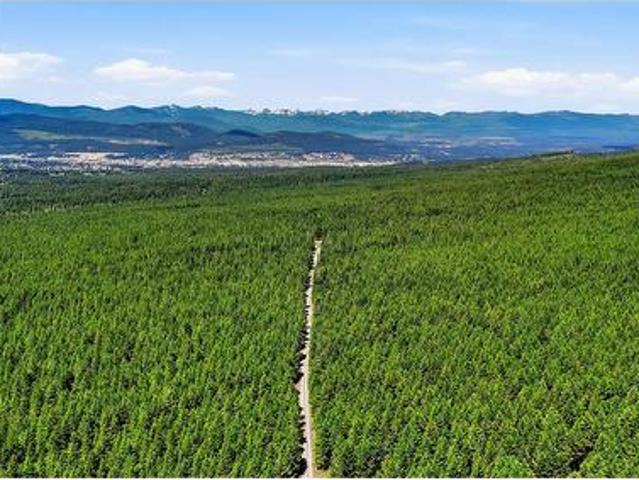 Commercial for sale in Area C (Moyie/Bull River), Regional District of East Kootenay
