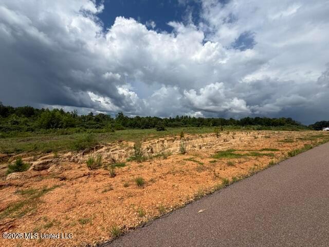 Land for sale in Byhalia, Mississippi