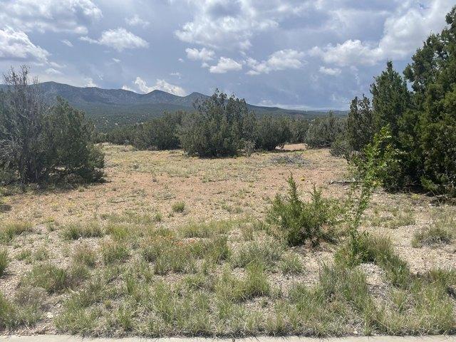Land for sale in Sandia Park, New Mexico