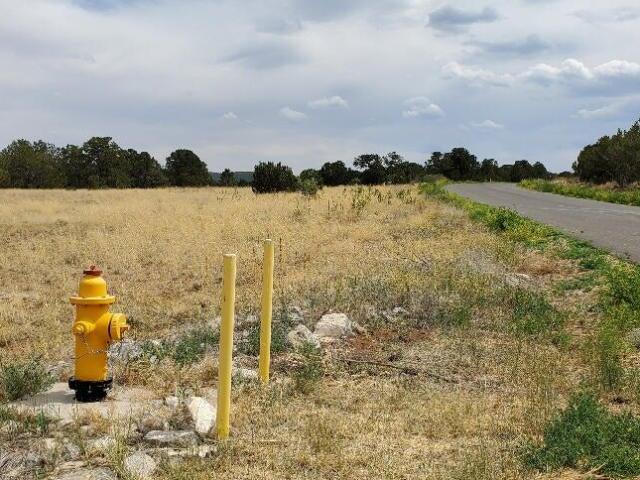 Land for sale in Placitas, New Mexico