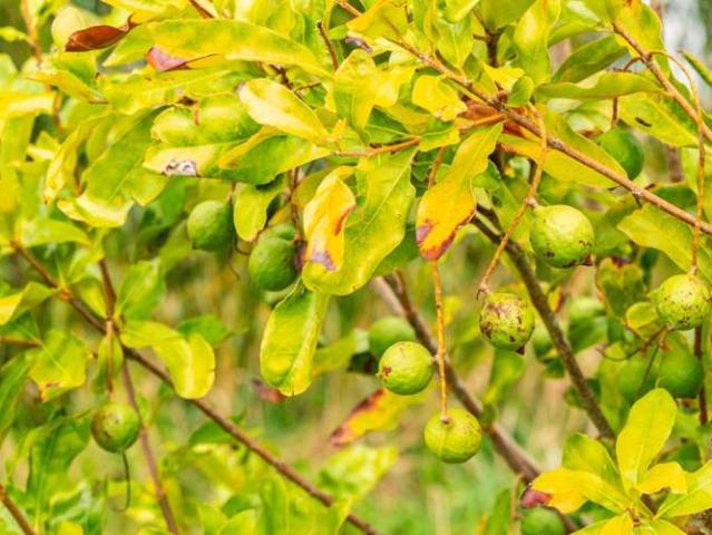 Property for sale in Kaiwaka, Northland