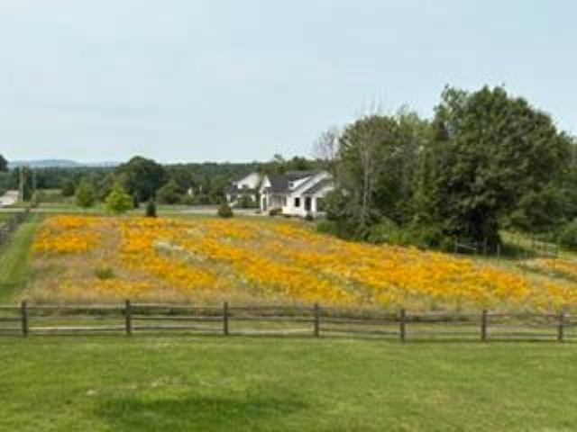 Land for sale in New Hampshire
