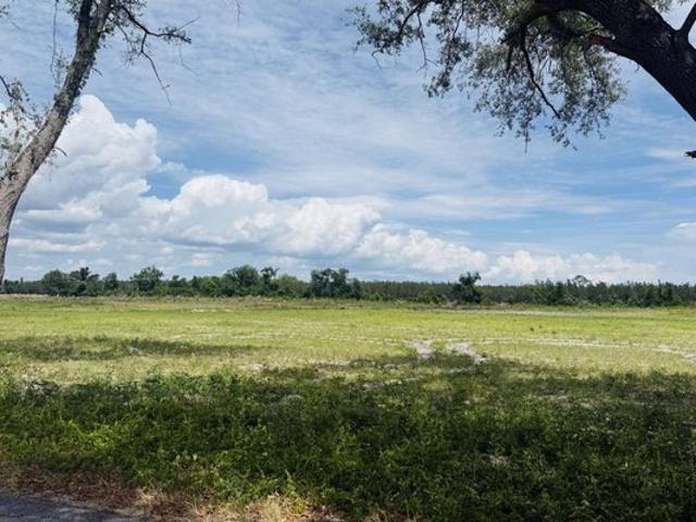 Land for sale in Suwannee, Florida