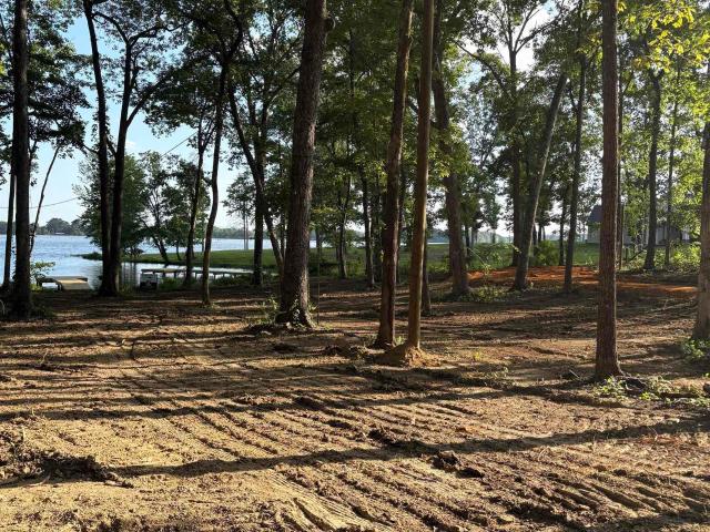 Land for sale in Cedar Bluff, Alabama