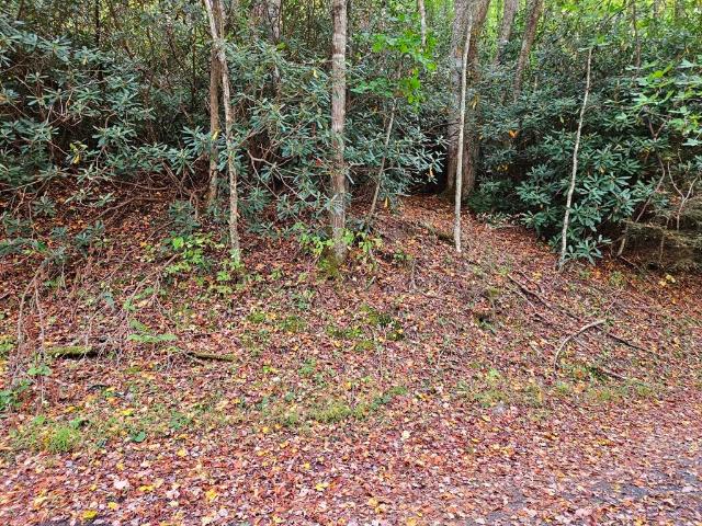 Land for sale in Virginia