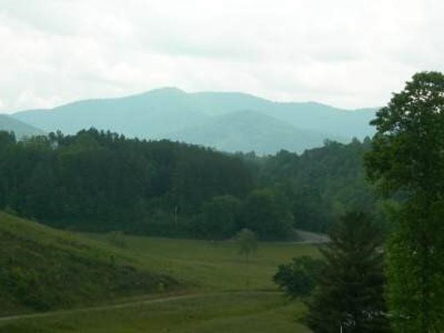 Land for sale in Warne, North Carolina