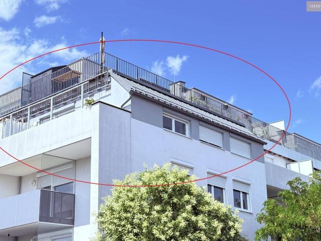 Apartment mieten in Wiener Neustadt, Niederösterreich