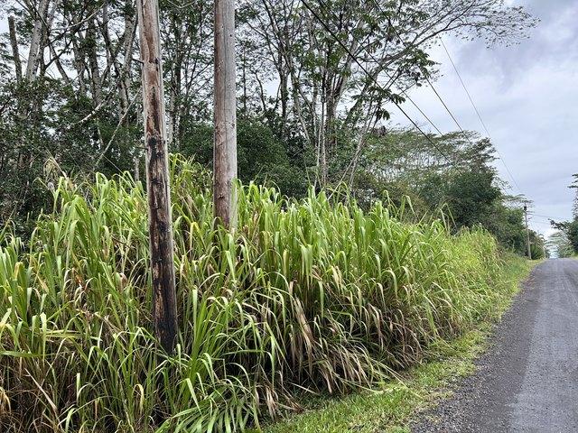 Land for sale in Keaau, Hawaiʻi County