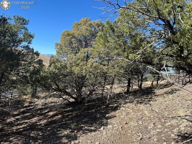 Land for sale in Cotopaxi, Colorado