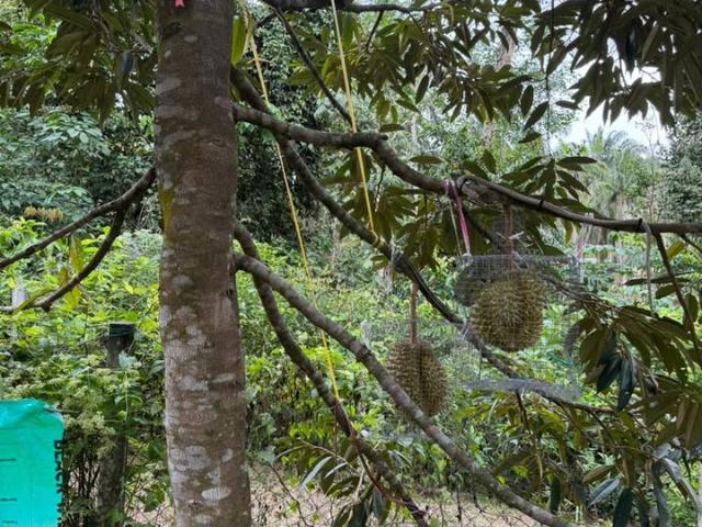 Property for sale in Taman Bukit Kuang Perdana, Majlis Perbandaran Selayang