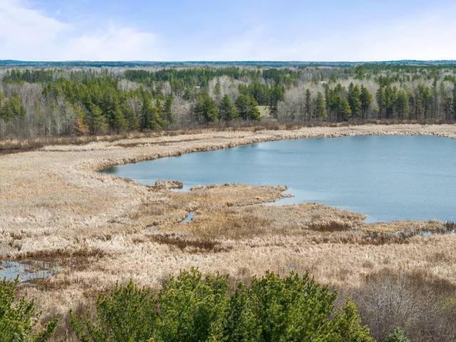 Land for sale in Pine River, Minnesota