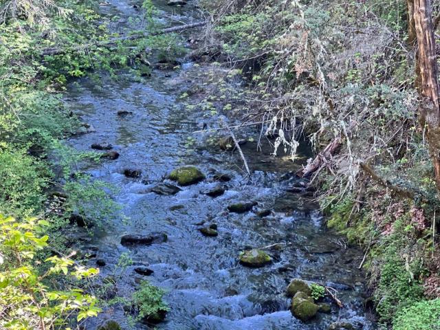 Land for sale in Douglas City, California