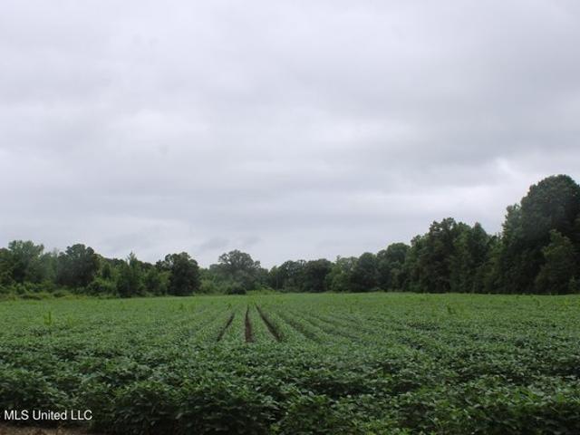 Land for sale in Mississippi