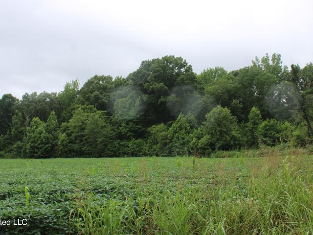 Land for sale in Mississippi