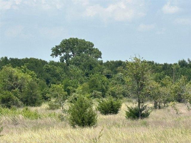 Farm for sale in Troy, Texas