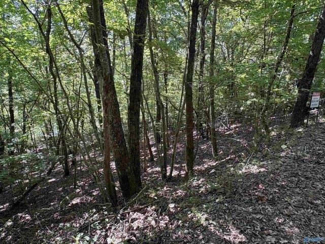 Land for sale in Mentone, Alabama