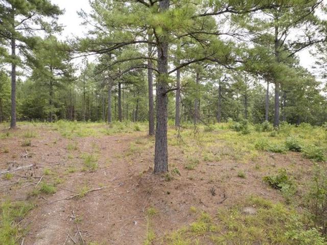 Land for sale in Ark