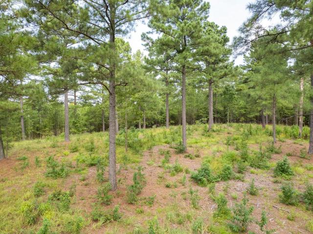 Land for sale in Ark
