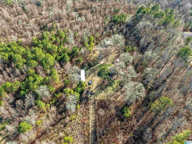 Land for sale in Ashville, Alabama