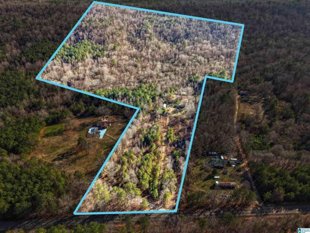 Land for sale in Ragland, Alabama
