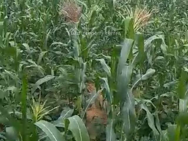 Land for sale in Abuja, Sokoto