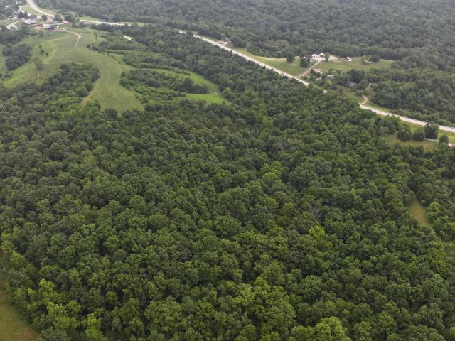 Land for sale in Owenton, Owen County