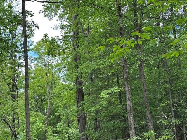 Land for sale in New York