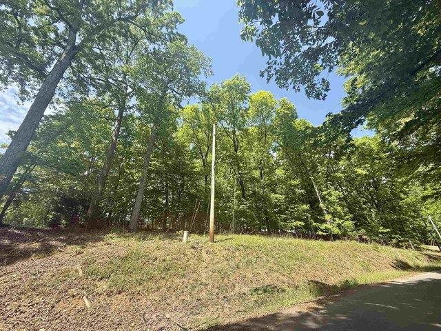 Land for sale in Rogersville, Lauderdale County