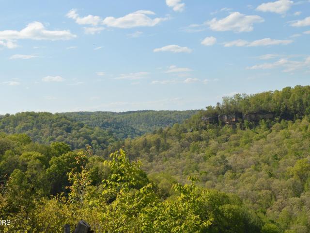 Land for sale in Oneida, Kentucky