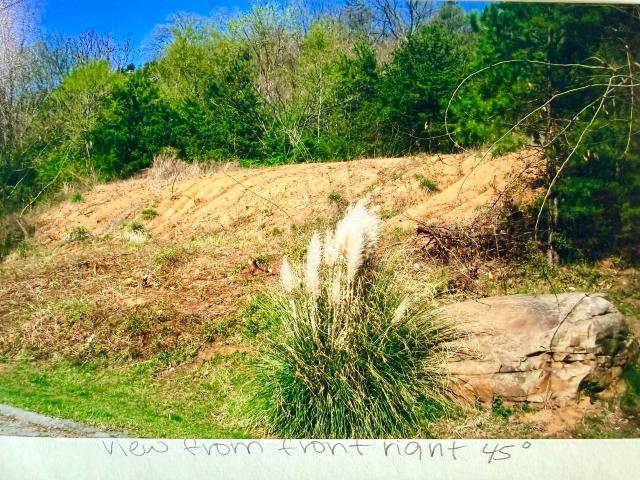Land for sale in Palisades, Signal Mountain